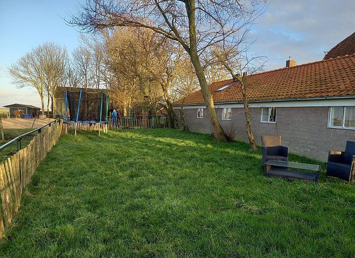 VZ494 Ferienhaus Grijpskerke mit Lavendel im Garten, Walcheren, Zeeland.
