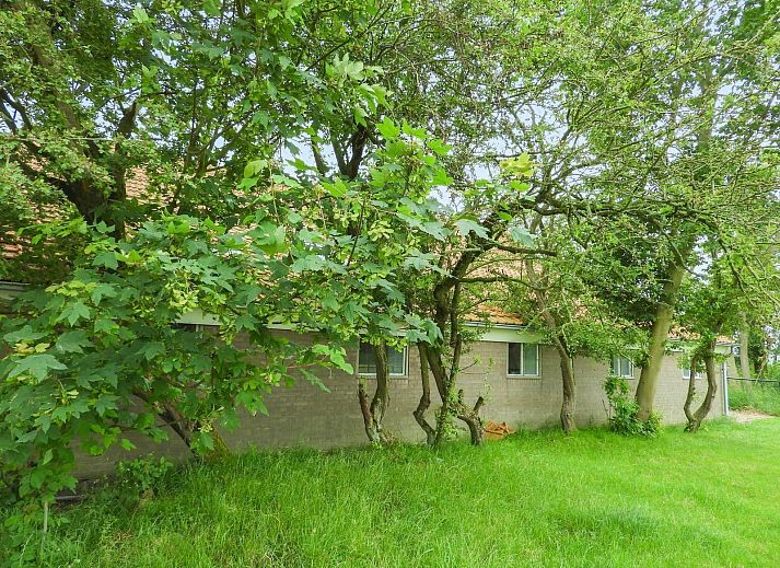 Gruener Garten mit Trampolin in VZ494 Ferienhaus Grijpskerke, Walcheren, Zeeland.