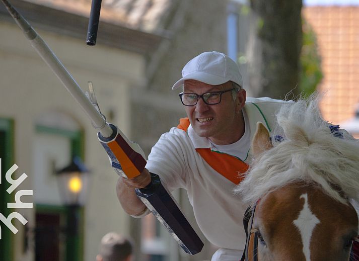Cozy bedroom in vacation home ZE1415, Gapinge, Walcheren, Zeeland.