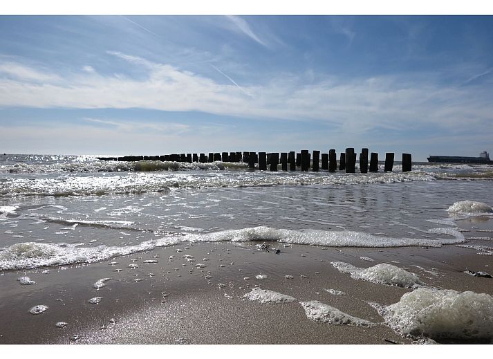 Unterkunft 623017 - Ferienhaus Walcheren - Slaapstrandhuisje - Strand dishoek 68  Dishoek
