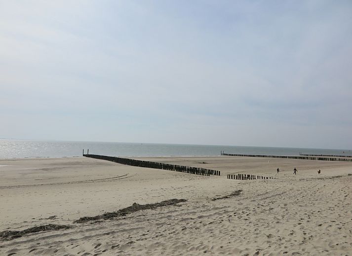 Unterkunft 623017 - Ferienhaus Walcheren - Slaapstrandhuisje - Strand dishoek 68  Dishoek