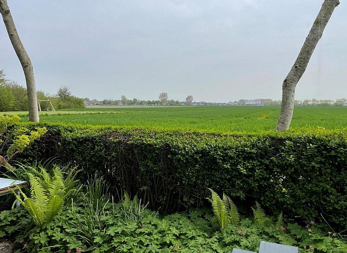 Gemuetliches Interieur von VZ2319 Nature cottage in Koudekerke-Dishoek mit Holzinterieur und komfortabler Sitzecke.