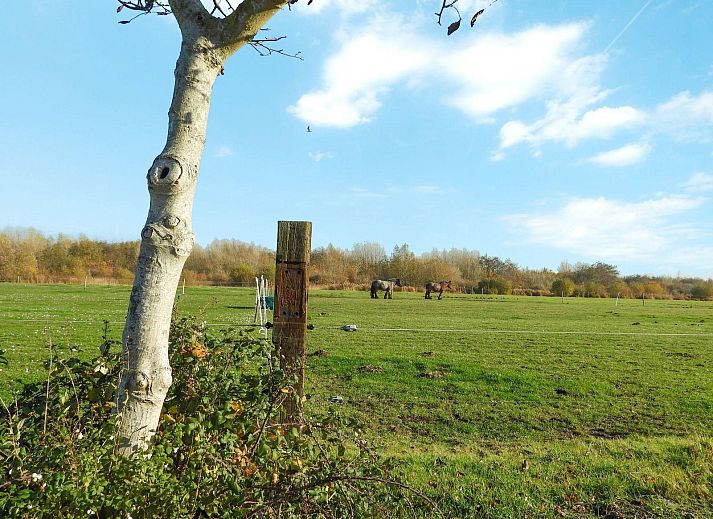 Helles Wohnzimmer in VZ729 Apartment in Koudekerke, attraktive Unterkunft in Dishoek, Walcheren, Zeeland.