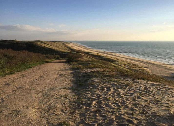 Verblijf 623034 - Vakantiewoning Walcheren - Vebenabos 14-Bos en Duin