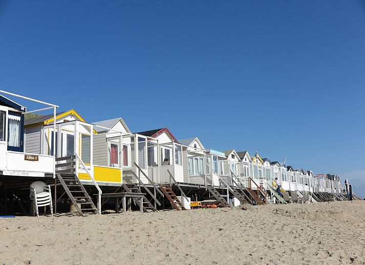Unterkunft 623035 - Ferienhaus Walcheren - Slaapstrandhuisje - Strand dishoek 60