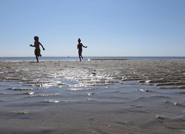 Unterkunft 623035 - Ferienhaus Walcheren - Slaapstrandhuisje - Strand dishoek 60