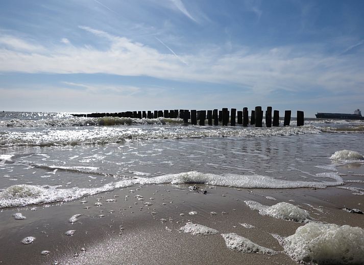 Unterkunft 623035 - Ferienhaus Walcheren - Slaapstrandhuisje - Strand dishoek 60