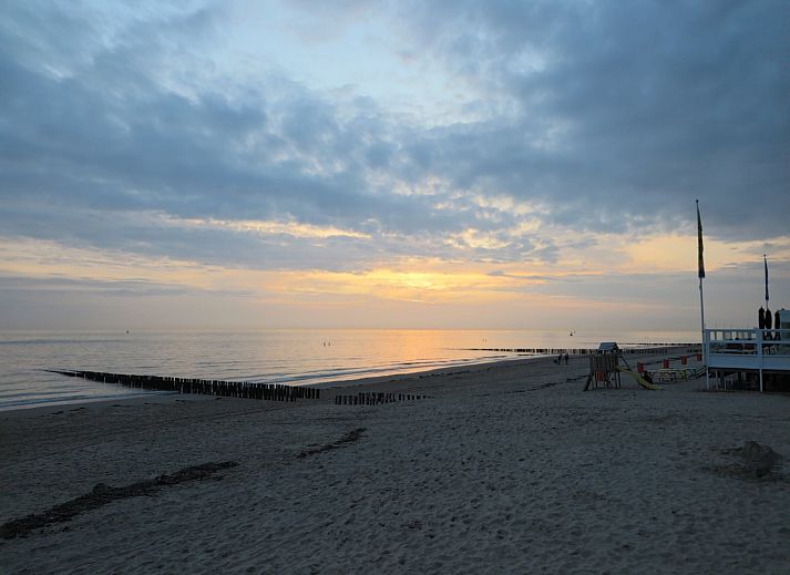 Unterkunft 623035 - Ferienhaus Walcheren - Slaapstrandhuisje - Strand dishoek 60