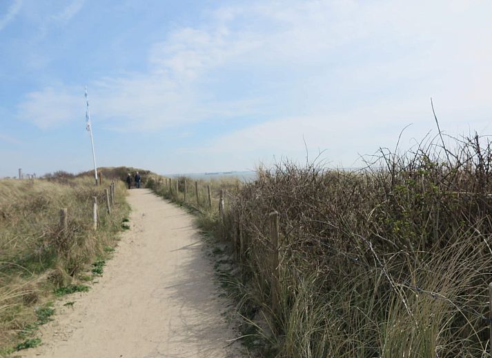 Unterkunft 623035 - Ferienhaus Walcheren - Slaapstrandhuisje - Strand dishoek 60