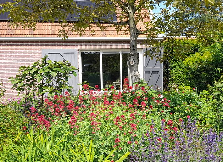Guest house 623101 • Holiday property Walcheren • Vakantiehuis in Nieuw en Sint Joosland