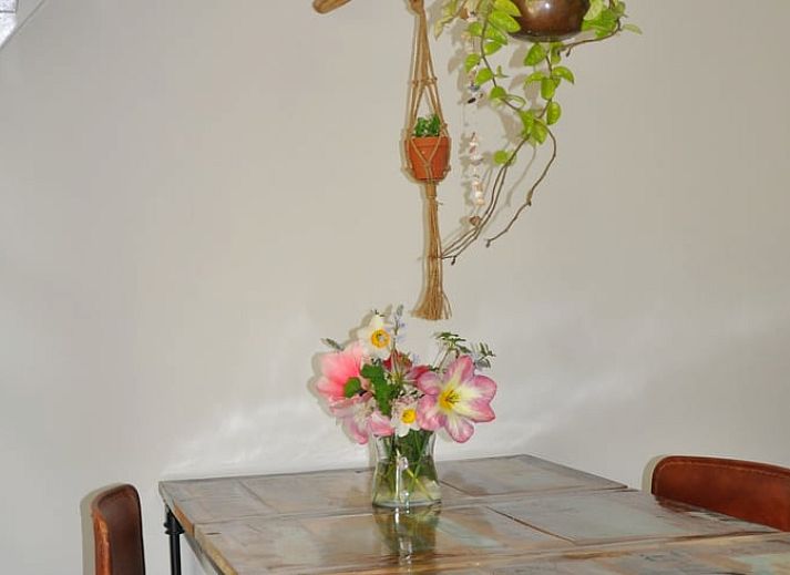 Ferienhaus in Nieuw en Sint Joosland, umgeben von einem bunten Garten in Walcheren, Zeeland.