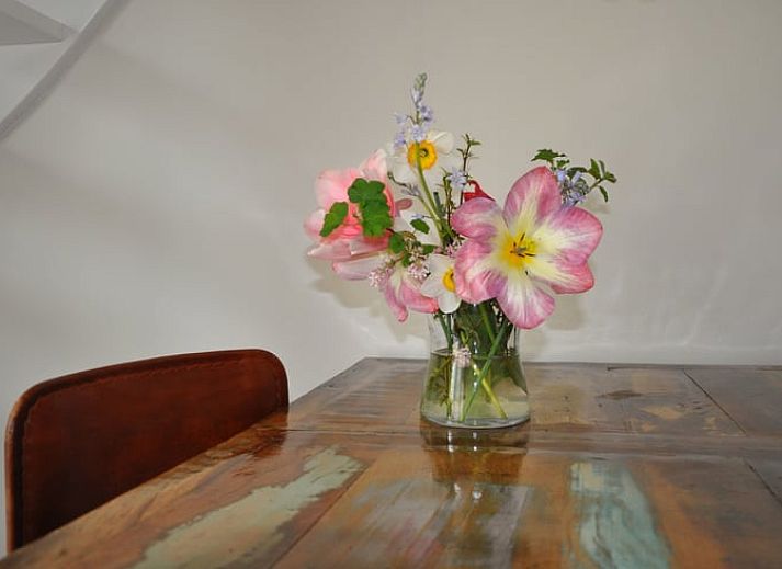 Ferienhaus in Nieuw en Sint Joosland, umgeben von einem bunten Garten in Walcheren, Zeeland.