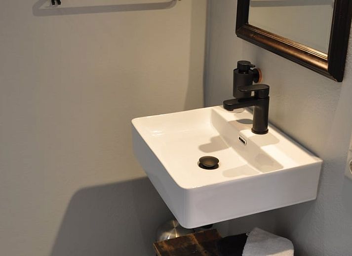 Blumen auf dem Tisch im Ferienhaus in Nieuw en Sint Joosland, Walcheren, Zeeland.