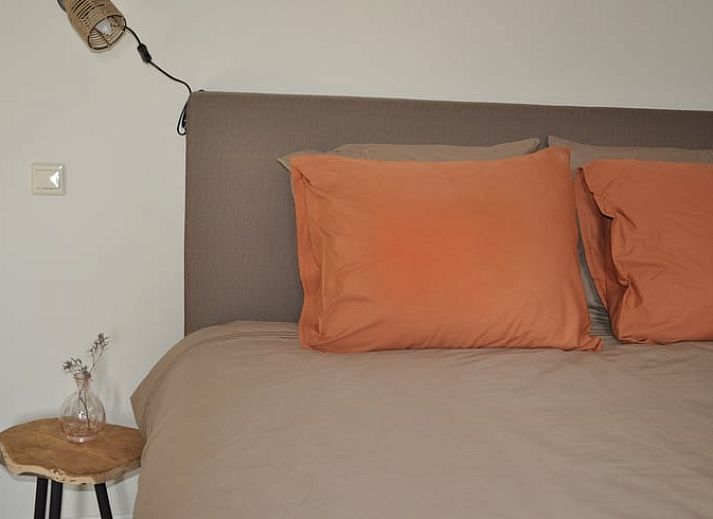 Blumen auf dem Tisch im Ferienhaus in Nieuw en Sint Joosland, Walcheren, Zeeland.