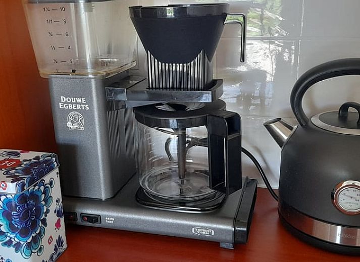 Rustikale Gartenumgebung des Ferienhauses in Nieuw en Sint Joosland, Walcheren, Zeeland.