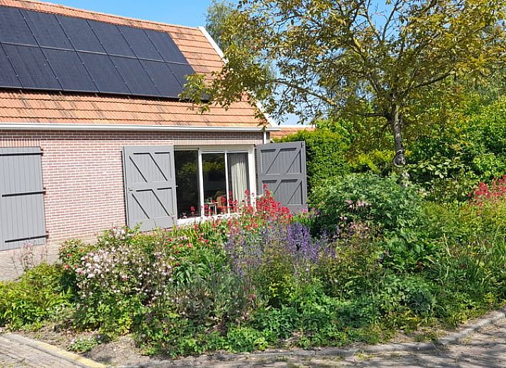 Rustikale Gartenumgebung des Ferienhauses in Nieuw en Sint Joosland, Walcheren, Zeeland.