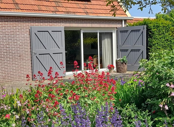 Gruene Natur im Ferienhaus in Nieuw en Sint Joosland, Walcheren, Zeeland.