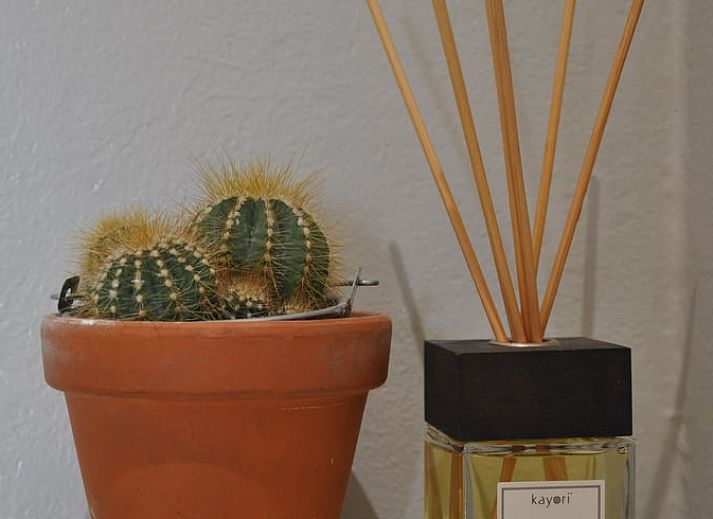 Houten tafel met stoelen in een groene tuin bij Vakantiehuis in Nieuw- en Sint Joosland, Walcheren, Zeeland.