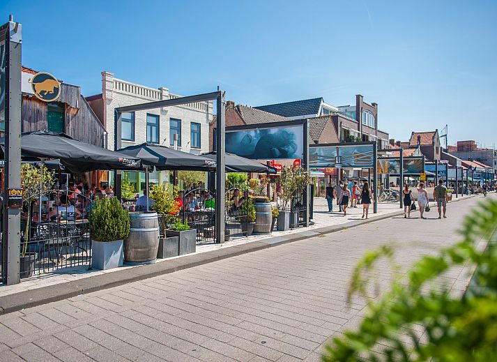 Guest house 630105 - Holiday property Zeeuws-Vlaanderen - Vrijstaande woning in Breskens