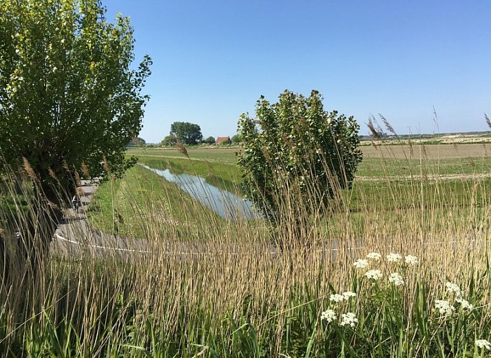 Unterkunft 6301126 - Strandhaus Zeeuws-Vlaanderen - Mer du Nord