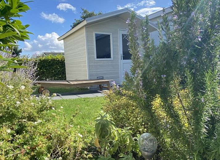 Gezellige woonkamer in Casa Mari, een chalet in Breskens, Zeeuws-Vlaanderen, met veel natuurlijk licht en comfortabel interieur.