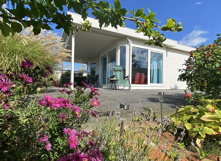 Authentieke decoratie in Casa Mari, chalet in Breskens, Zeeuws-Vlaanderen, met klompen en strandkunst voor een lokale sfeer.