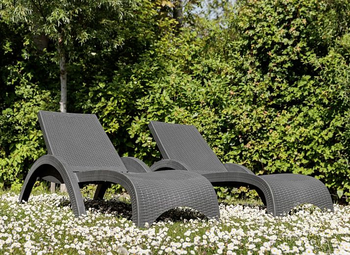 Gezellige binnenruimte van Lodge 4B in Breskens, Zeeland, met uitzicht op de groene tuin en terras.