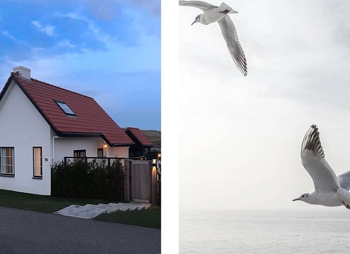 Verblijf 630143 - Vakantiewoning Zeeuws-Vlaanderen - Huisje in Breskens