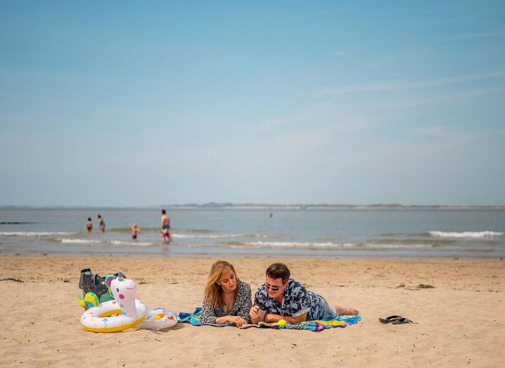 Unterkunft 630148 - Ferienhaus Zeeuws-Vlaanderen - Vakantiehuis Cube Maximaal