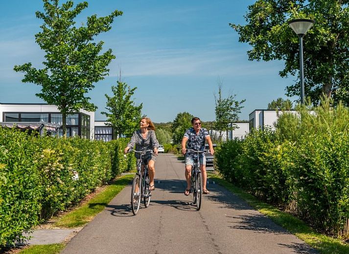 Unterkunft 630148 - Ferienhaus Zeeuws-Vlaanderen - Vakantiehuis Cube Maximaal