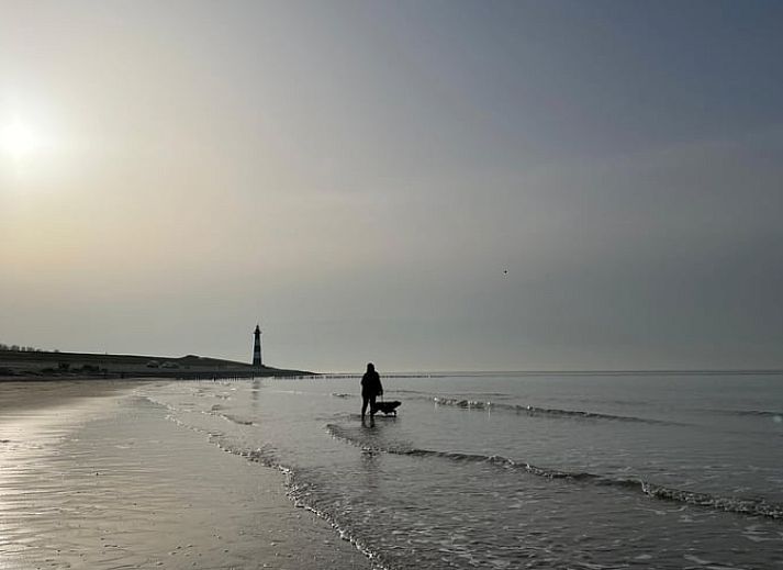 Cozy living room in Holiday home in Breskens, Zeeuws-Vlaanderen, Zeeland. Relaxed atmosphere with comfortable sofa.