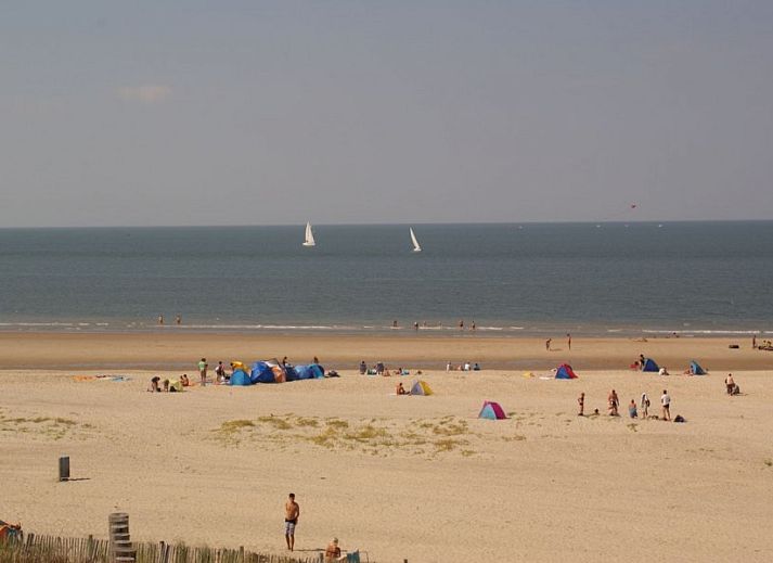 Guest house 630316 - Beach house Zeeuws-Vlaanderen - Cabane Parterre
