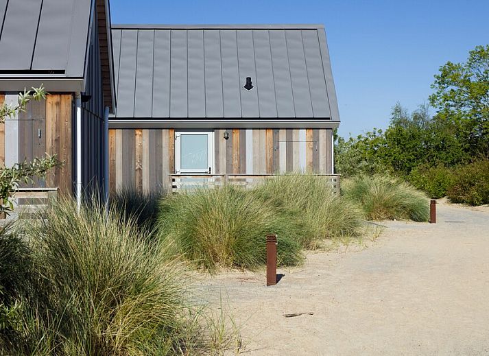Guest house 630318 - Holiday property Zeeuws-Vlaanderen - Beach Lodge 4
