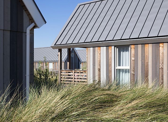 Guest house 630318 - Holiday property Zeeuws-Vlaanderen - Beach Lodge 4
