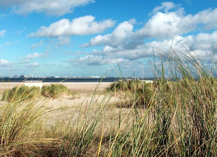 Verblijf 630346 - Vakantiewoning Zeeuws-Vlaanderen - Vakantiehuisje in Nieuwvliet-Bad