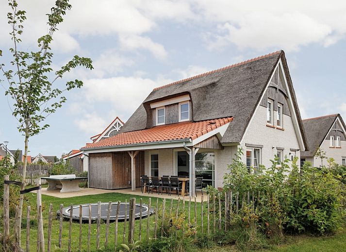 Guest house 630353 • Holiday property Zeeuws-Vlaanderen • Jeugdvilla V10 Luxe 