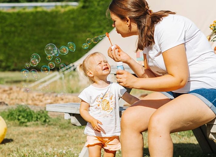 Rustikales Safarizelt im Ferienhaus in Nieuwvliet-Bad, umgeben von Natur in Zeeuws-Vlaanderen, Zeeland.
