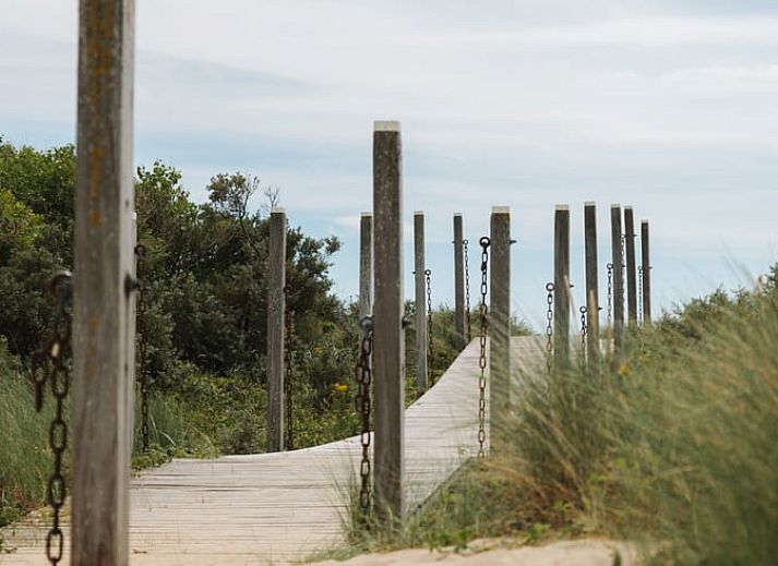 Familie geniesst Picknick im Safarizelt im Ferienhaus in Nieuwvliet-Bad, Zeeuws-Vlaanderen, Zeeland.