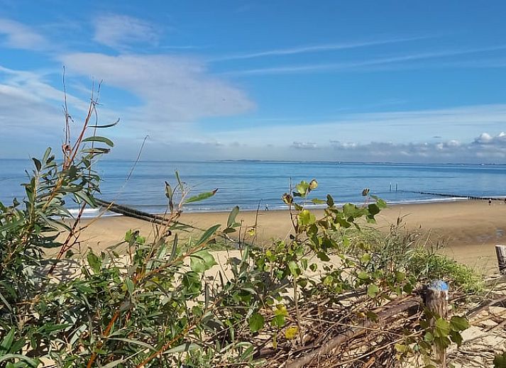 Familie geniesst Picknick im Safarizelt im Ferienhaus in Nieuwvliet-Bad, Zeeuws-Vlaanderen, Zeeland.