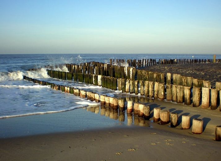 Familie geniesst Picknick im Safarizelt im Ferienhaus in Nieuwvliet-Bad, Zeeuws-Vlaanderen, Zeeland.