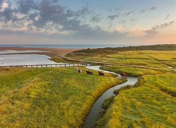 Luftaufnahme der Safarizelte in Huisje in Nieuwvliet-Bad, Zeeuws-Vlaanderen, Zeeland.