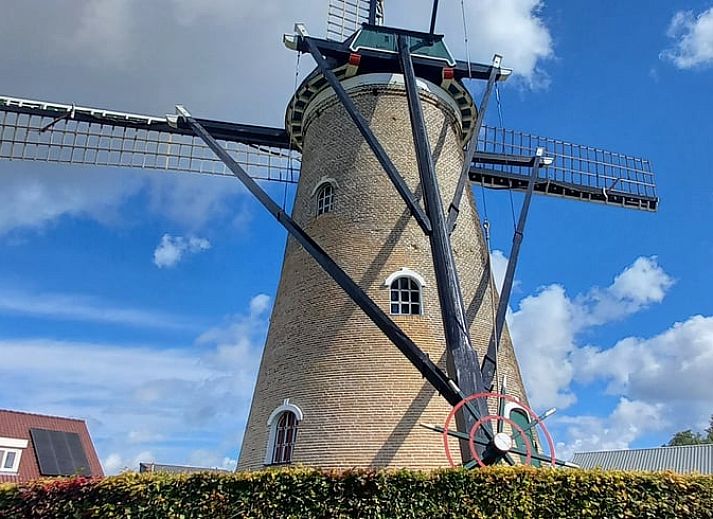 Luftaufnahme der Safarizelte in Huisje in Nieuwvliet-Bad, Zeeuws-Vlaanderen, Zeeland.