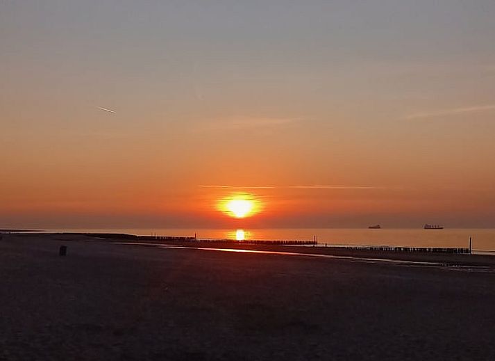 Luftaufnahme der Safarizelte in Huisje in Nieuwvliet-Bad, Zeeuws-Vlaanderen, Zeeland.