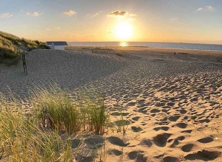 Unterkunft 630611 - Ferienhaus Zeeuws-Vlaanderen - Huisje in Cadzand