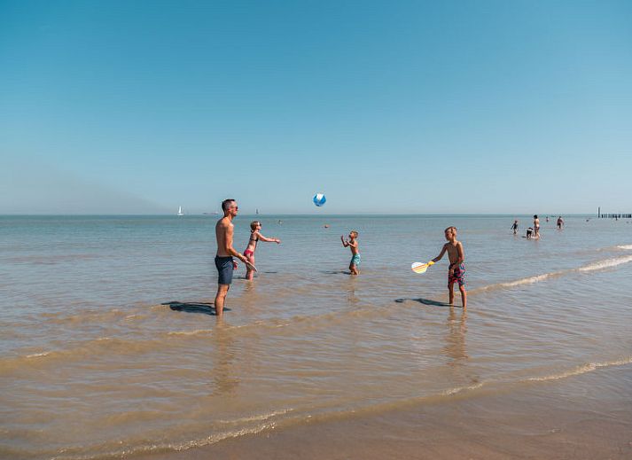 Verblijf 630646 - Vakantiewoning Zeeuws-Vlaanderen - Vakantiehuis Duinvilla 10