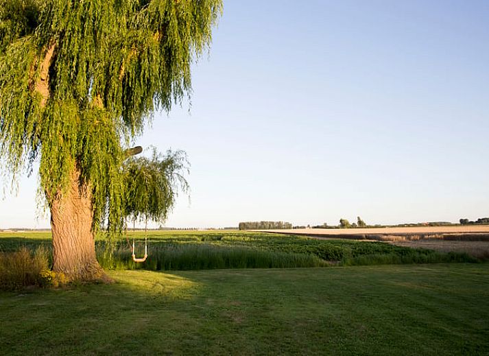 Unterkunft 630702 - Ferienhaus Zeeuws-Vlaanderen - Vakantiehuis in Schoondijke