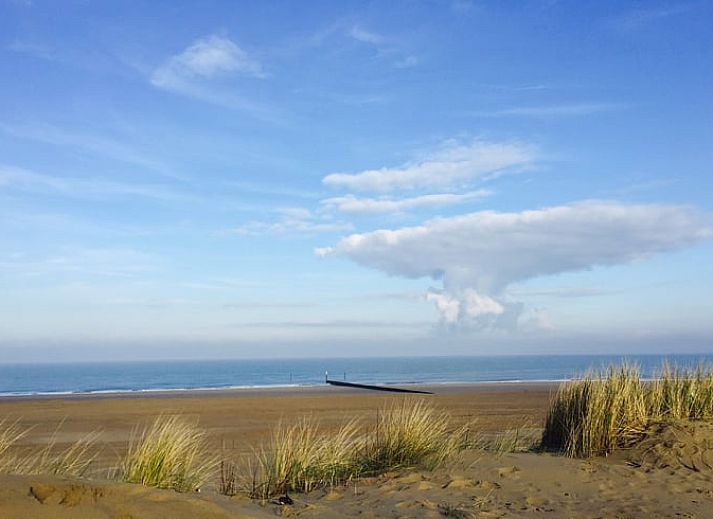 Stilvolles Wohnzimmer im Ferienhaus in Schoondijke, Zeeuws-Vlaanderen, mit einem bequemen braunen Ledersofa und Blick auf die natuerliche Umgebung.