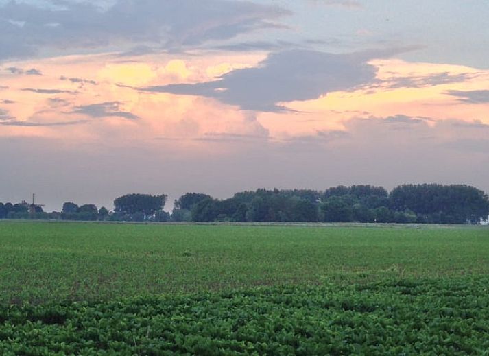 Stilvolles Wohnzimmer im Ferienhaus in Schoondijke, Zeeuws-Vlaanderen, mit einem bequemen braunen Ledersofa und Blick auf die natuerliche Umgebung.