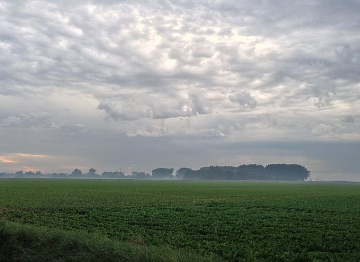 Stilvolles Wohnzimmer im Ferienhaus in Schoondijke, Zeeuws-Vlaanderen, mit einem bequemen braunen Ledersofa und Blick auf die natuerliche Umgebung.