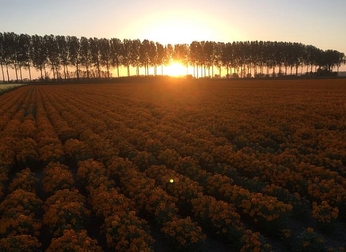 Stilvoller Innenraum des Ferienhauses in Schoondijke, Zeeuws-Vlaanderen, mit grossen Fenstern und einer gemuetlichen Sitzecke.